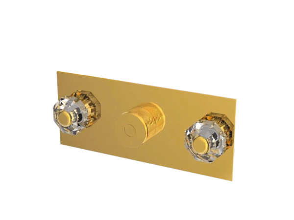 single lever concealed diverter with two outlet - CRYSTA GOLD