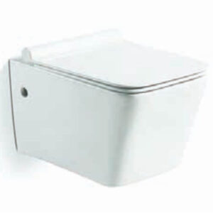 Wall Hung Toilet (Ace White)