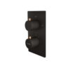 OLIVE BLACK Single Lever Concealed Diverter Thermostatic 3 Outlets with Trim Handle Installation Box Diverter Body with Installation Box - Colston - Olive Black - Wall Mounted Concealed Basin Mixer with Spout