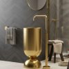 Wine Glass Gold freestanding stainless steel pedestal basin with brushed gold cylinder bowl on polished gold dome base and gold floor faucet in dark luxury bathroom